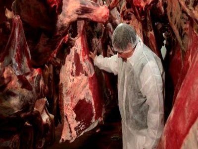 Echilibrarea balantei comerciale in sectorul carnii de porc se va fasce in circa opt ani