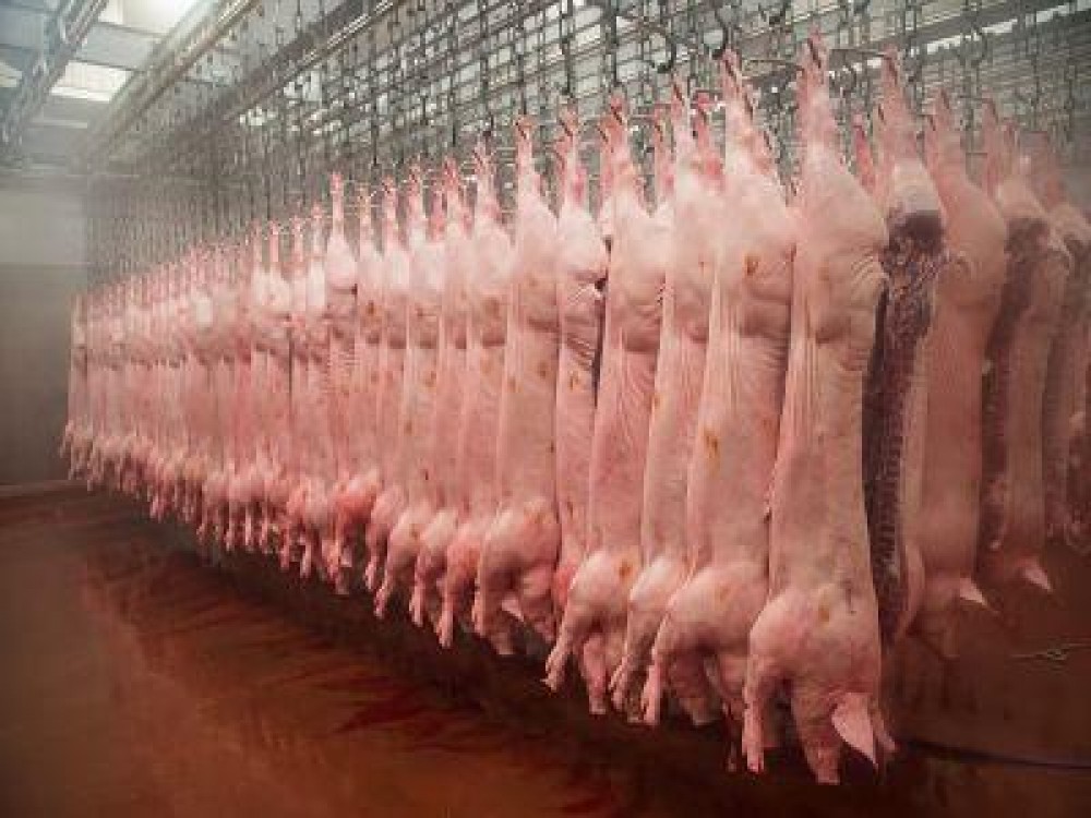 Noi reglementari in domeniul comercializarii carnii de bovine, porcine si ovine