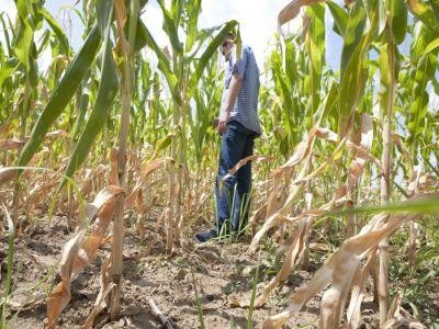 Fermierii afectati de furtuna din vestul tarii vor primi despagubiri