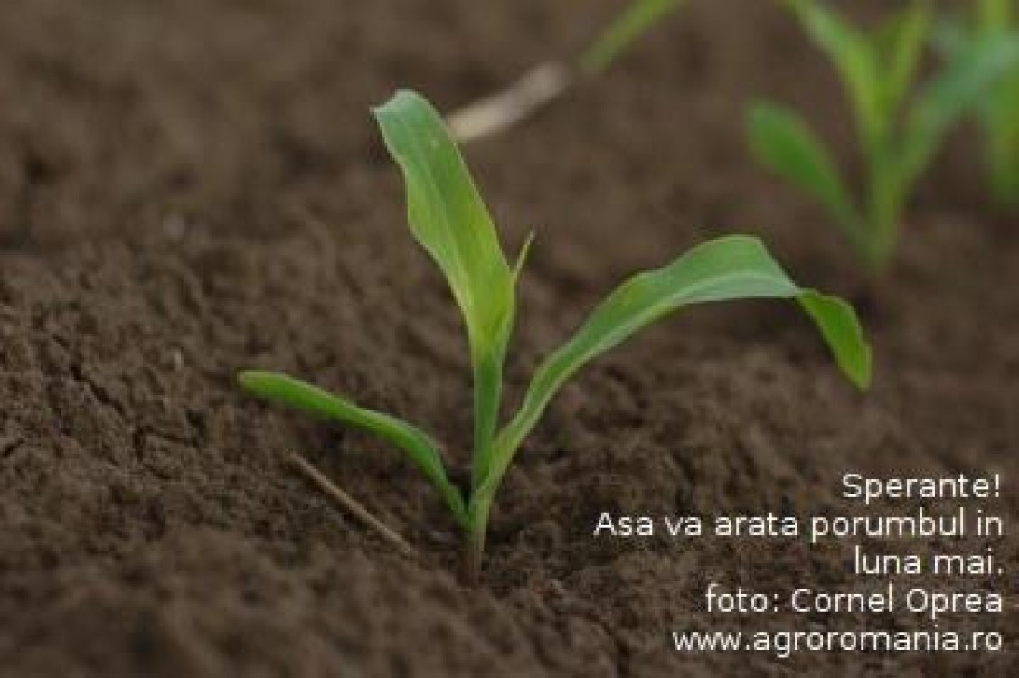 Cum va fi vremea in lunile aprilie si mai, o perioada decisiva pentru agricultura