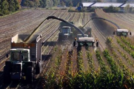 LAPAR, ingrijorata de scaderea subventiilor pe suprafata