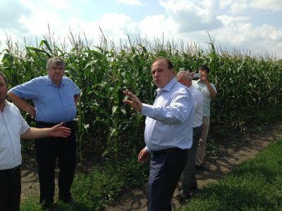 Agricultorii din R. Moldova spera la productii de 3 t/ha la porumb