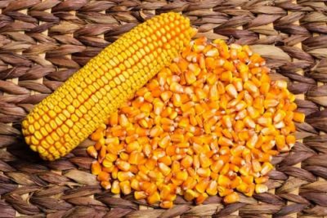 Romania, campion al cerealelor in UE