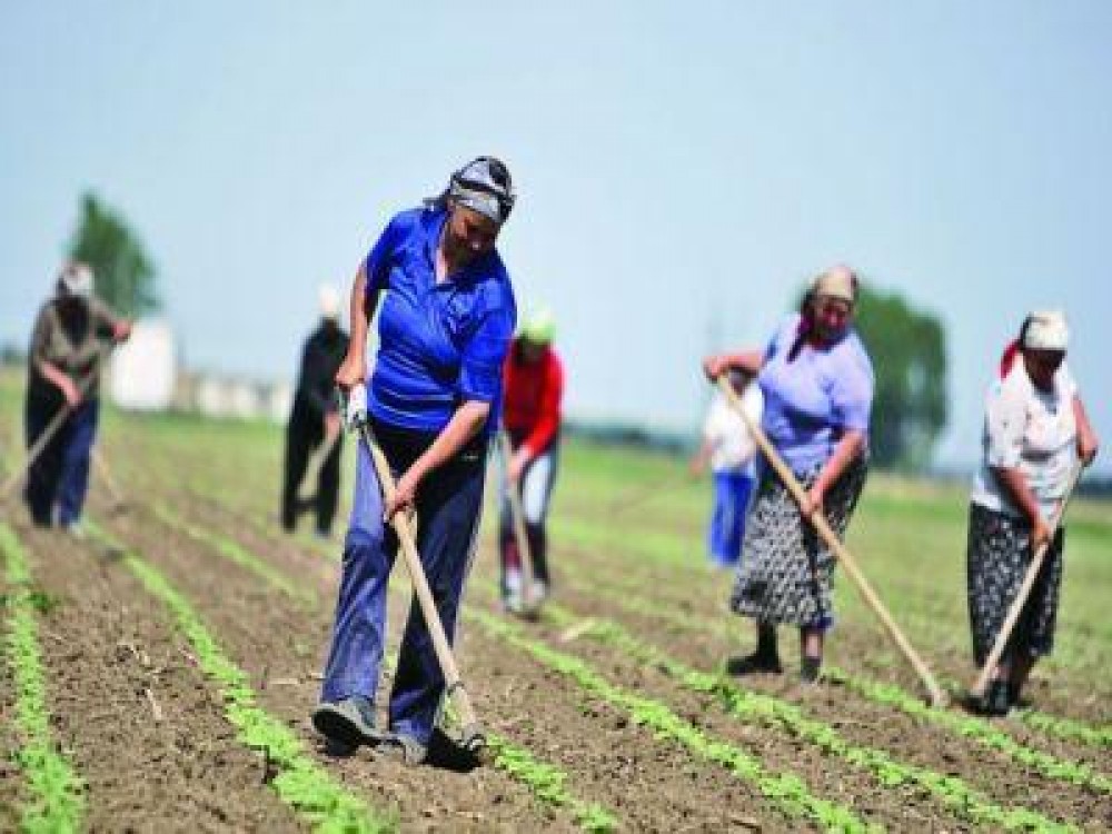 Buletin agrometeorologic pentru perioada 16-22 aprilie