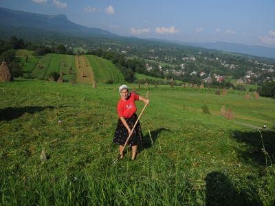 Conditii de eligibilitate pentru subventia pentru practici agricole traditionale