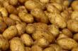 Seceta si importurile i-au speriat pe cultivatorii de cartofi