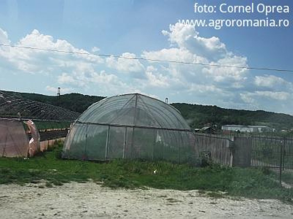 Aurul, petrolul si pretul painii cea de toate zilele