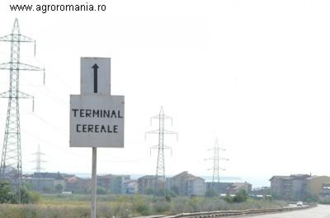 Pretul cerealelor in luna decembrie 2013