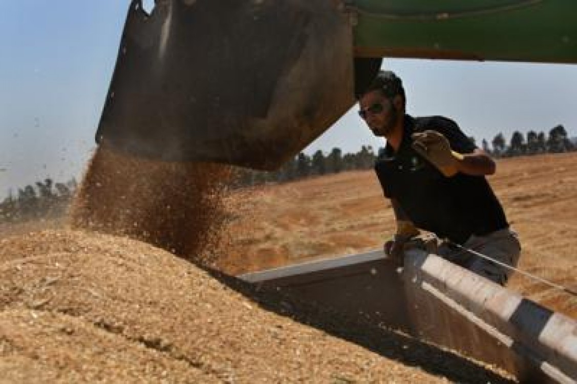 Pretul cerealelor 2012: In crestere cu 30%, spune ministrul Constantin