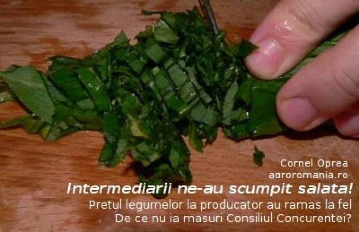 Pretul legumelor, la PRODUCATOR, in bazinul legumicol Matca