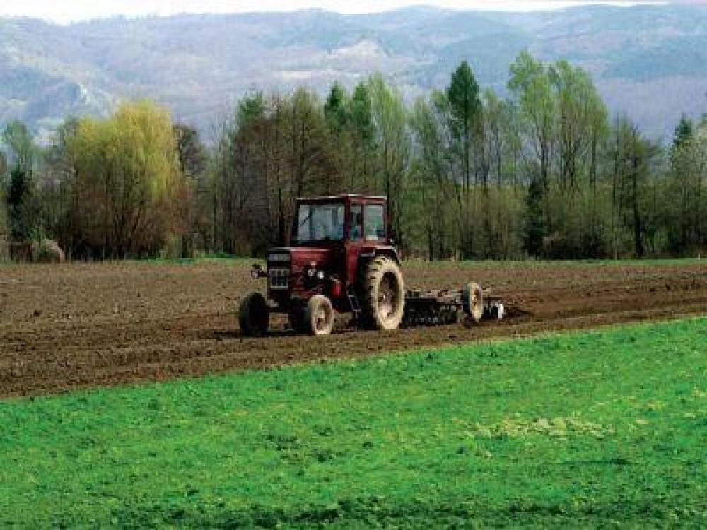 Lucrari agricole specifice lunii martie