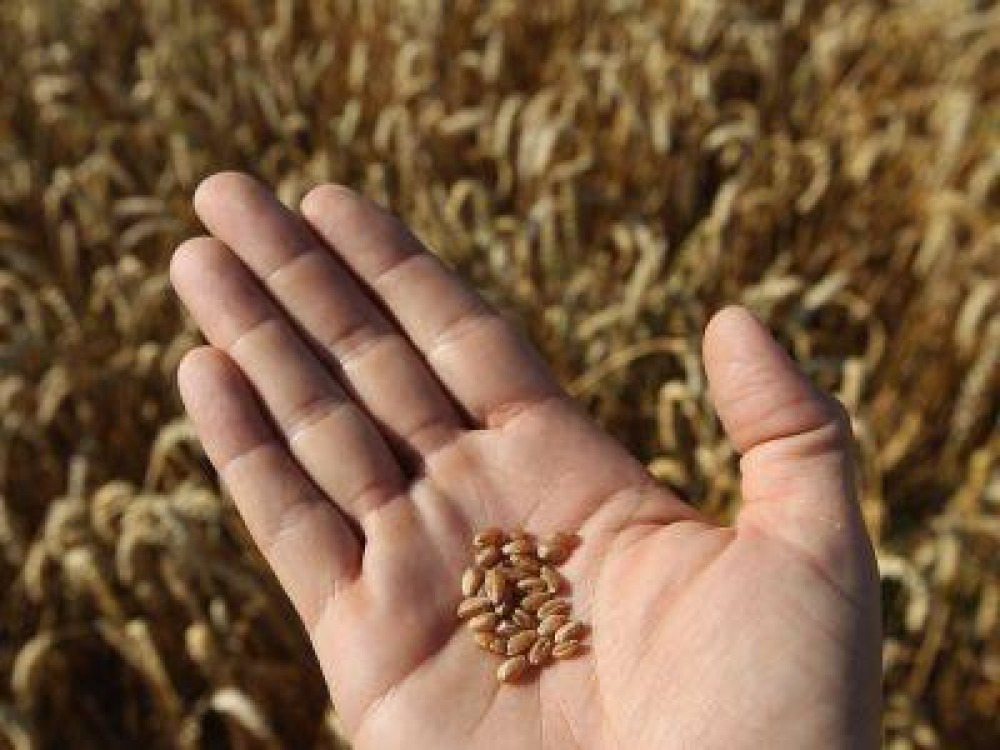 Termenul limita pentru depunerea cererilor pentru plata primelor de asigurare