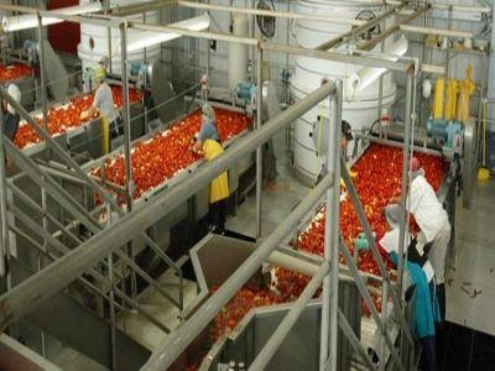 203 milioane de euro prin PNDR 2020 pentru procesarea produselor agricole