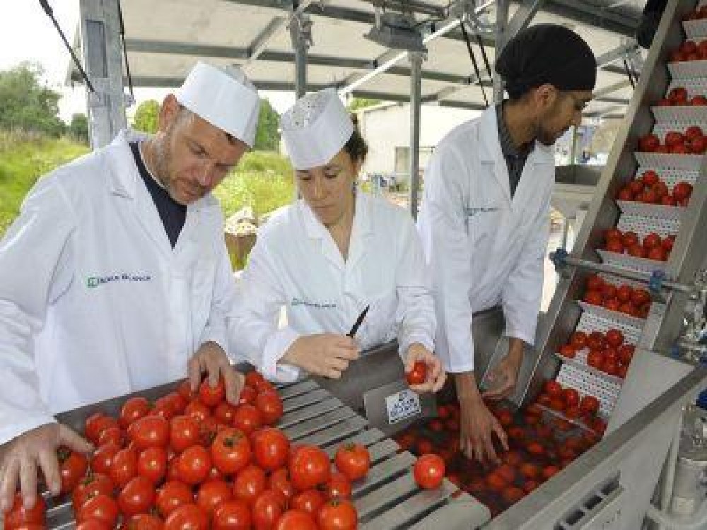AFIR pune la bataie 112 milioane de euro pentru investitii in procesarea si marketingul produselor agricole si pomicole