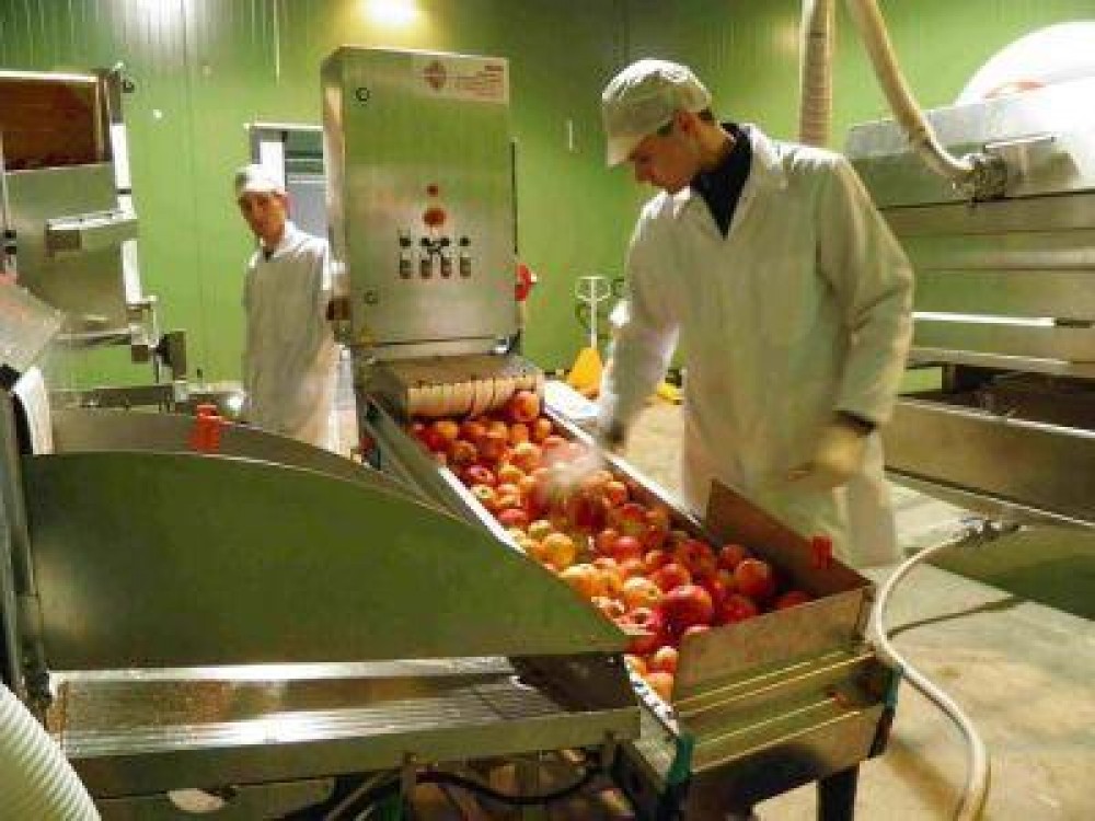 AFIR a prelungit sesiunea pentru finantarea modernizarii si dezvoltarii capacitatilor de procesare a produselor agricole