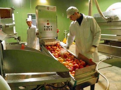 PNDR 2014-2020: Sprijin financiar pentru infiintarea sau modernizarea unitatilor de procesare