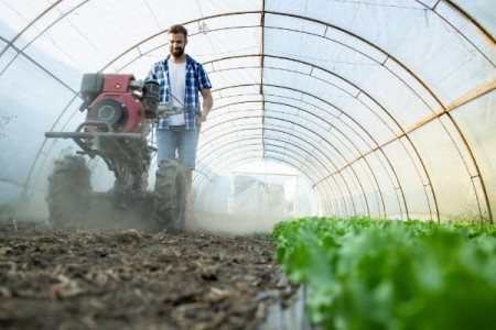 MADR: Plata de peste 56,4 milioane de lei pentru producatorii agricoli din sectorul vegetal