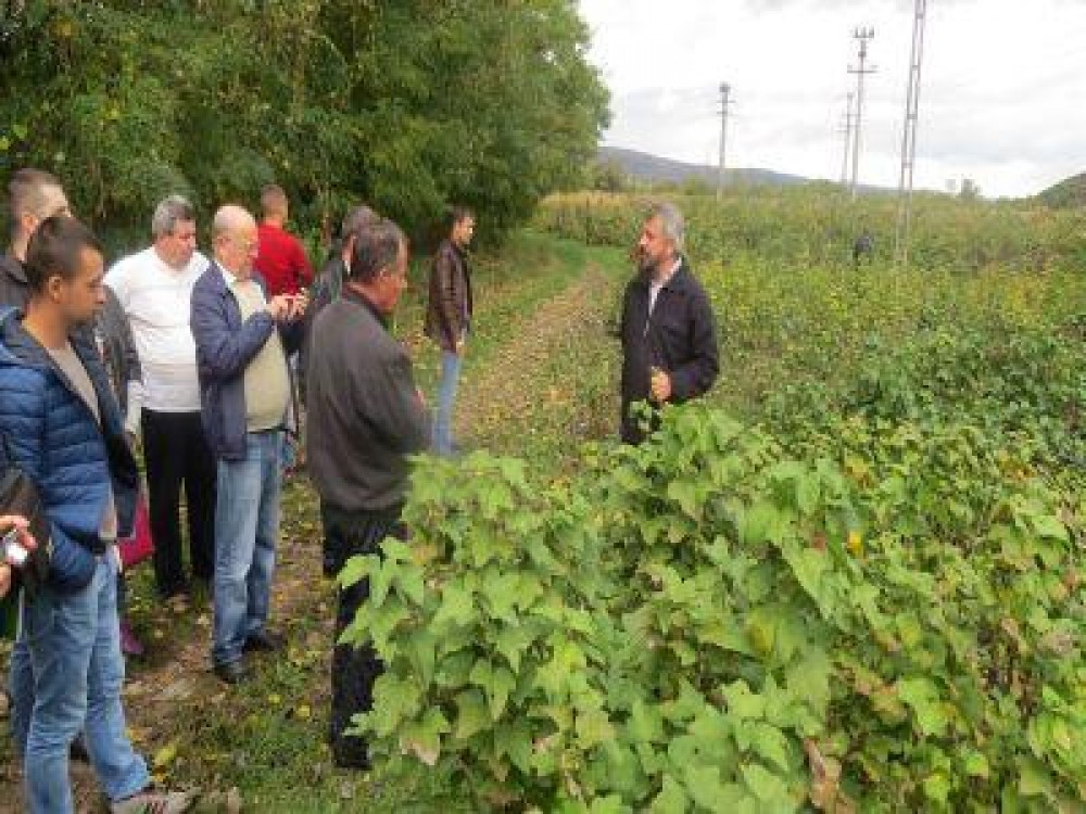 AFIR prelungeste sesiunea de primire a proiectelor grupurilor de producatori