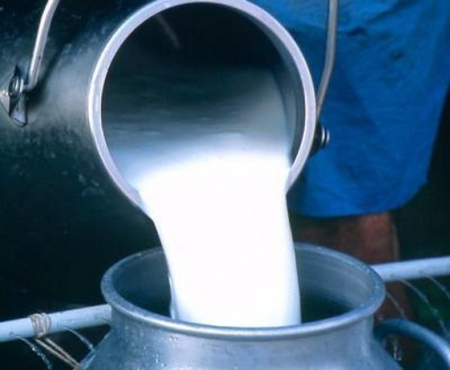 Peste 6000 de crescatori de bovine si procesatori de lapte au participat la intalnirile organizate de ANSVSA