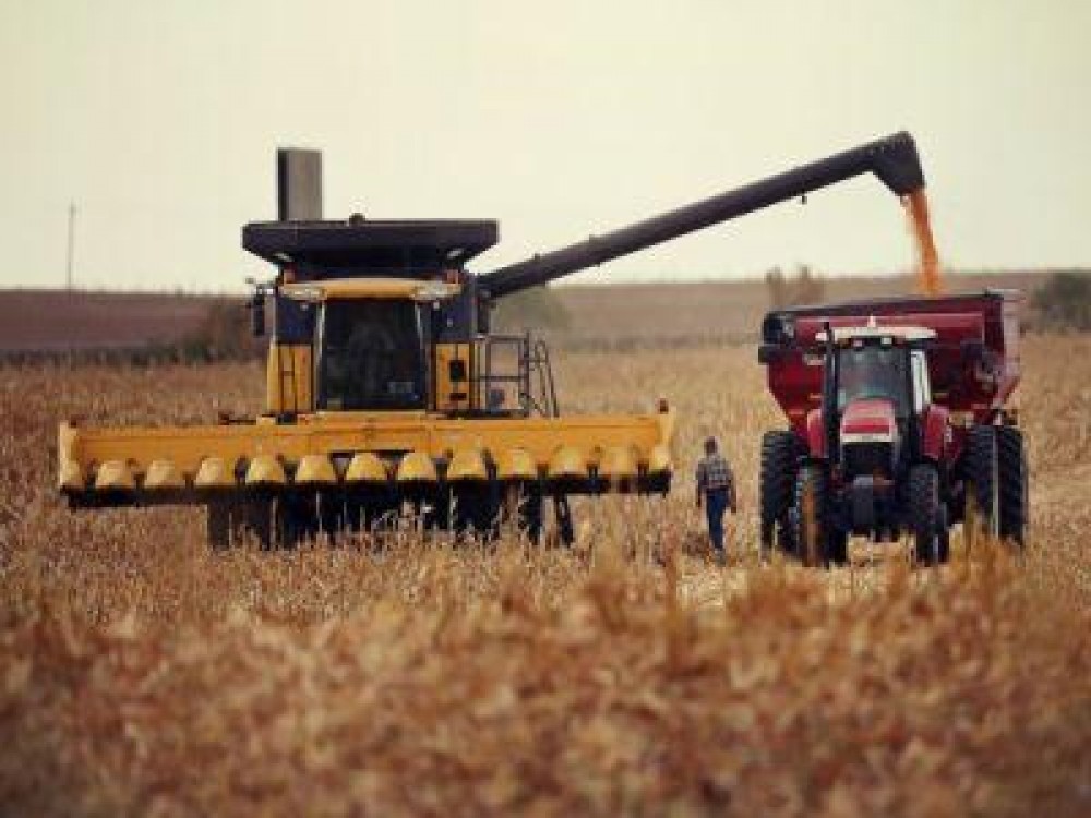 Romania a avut anul trecut a treia mare crestere de productie agricola din UE