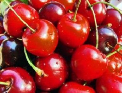 Producatorul de fructe Domeniile Ostrov si-a marit recolta de cirese si caise