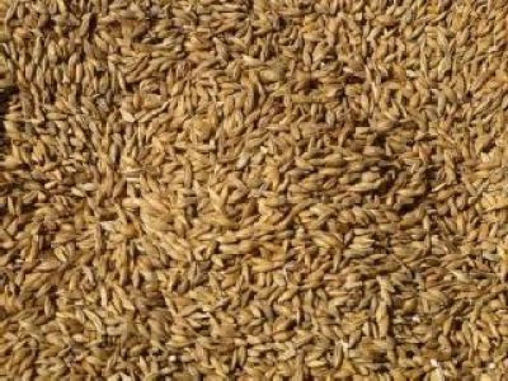 Anul acesta ne-a adus recolte mai bogate decat in ultimii ani