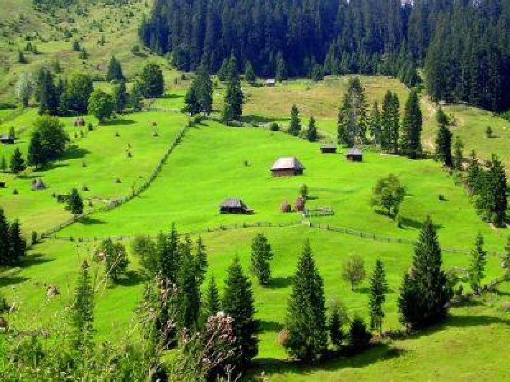 Un nou produs inregistrat in Registrul national al produselor montane