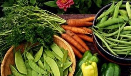 Mai sunt cativa pasi pana la infiintarea unei asociatii mondiale a comertului cu produse bio