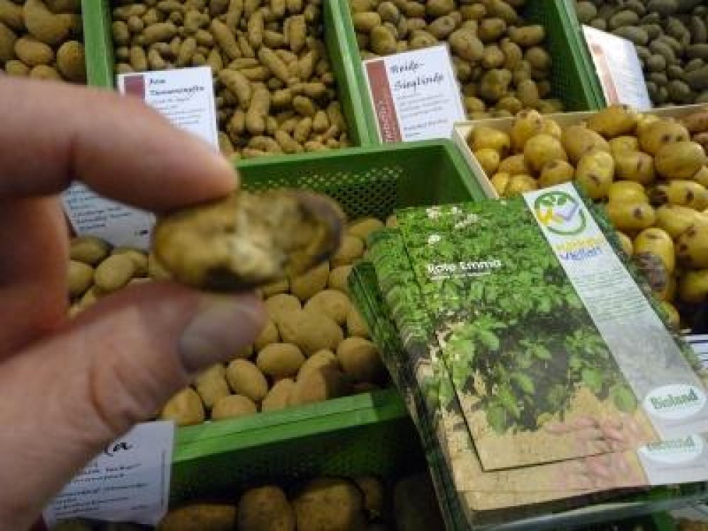 Desi exista standuri eco in supermaket, romanii le ocolesc