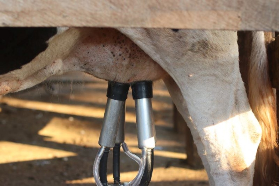 10 produse si piese de schimb DeLaval indispensabile intr-o ferma