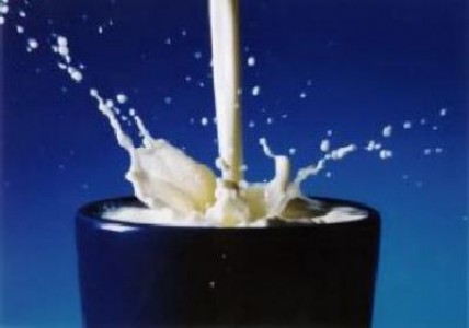 2012 a fost un an mai profitabil decat 2011, pentru Albalact