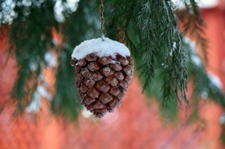 Prognoza agrometeorologica pentru perioada 20-26 ianuarie 2021