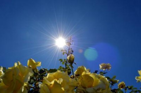 Prognoza agrometeorologica pentru perioada 11-17 august 2020