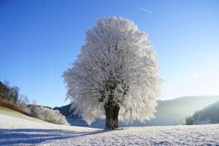 Prognoza agrometerologica pentru perioada 11-17 decembrie 2021