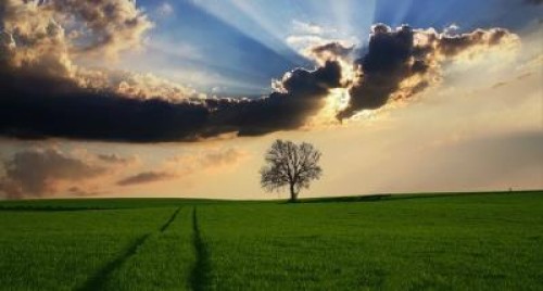 Prognoza agrometeorologica pentru perioada 25-31 iulie 2020