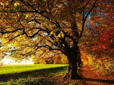 Prognoza agrometeorologica pentru perioada 29 august - 4 septembrie