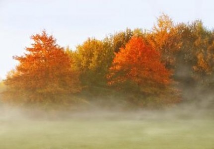 Prognoza agrometeorologica pentru perioada 9-15 noiembrie 2021