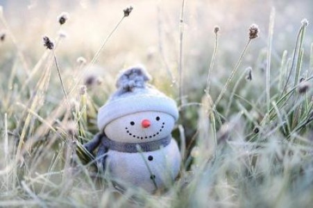 Prognoza agrometeorologica pentru perioada 18-24 decembrie 2021