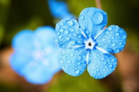 Prognoza agrometeorologica pentru perioada 21-27 august 2020