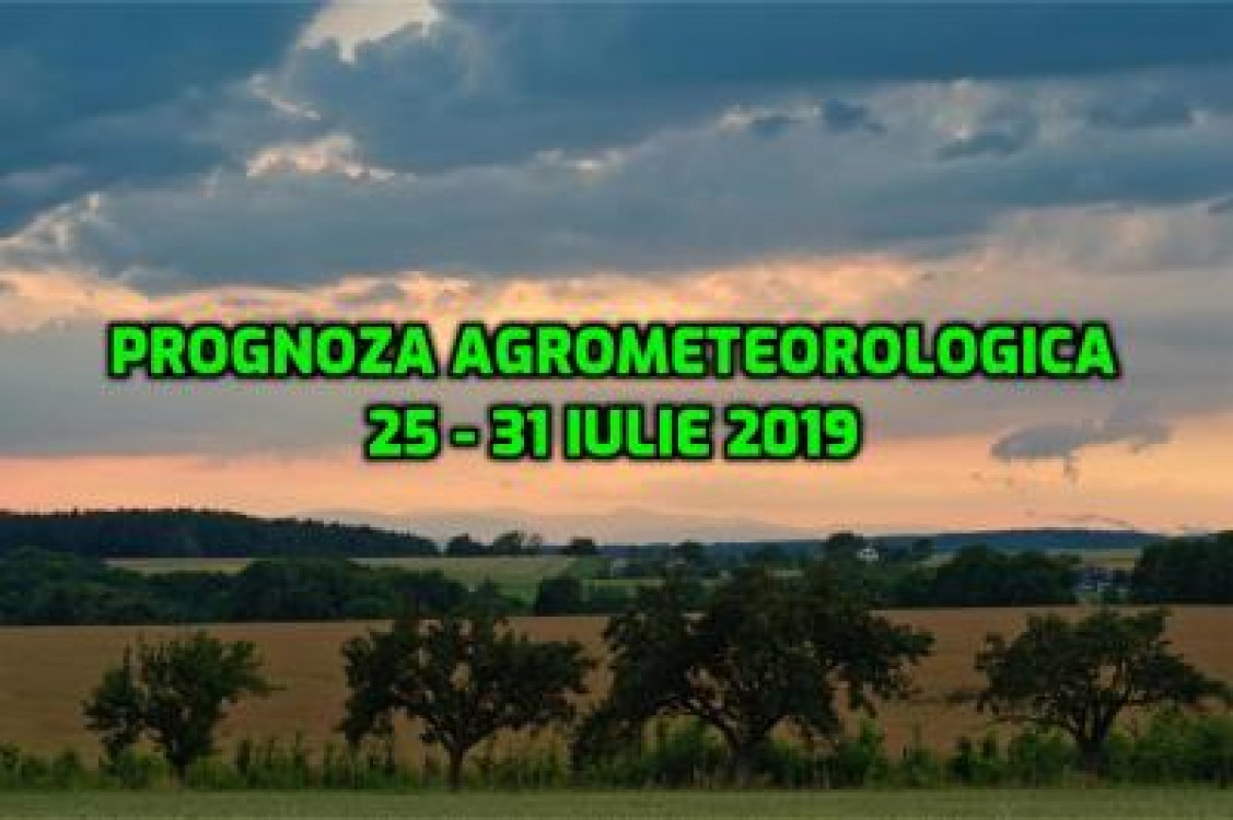 Prognoza agrometeorologica pentru perioada 25 - 31 iulie 2019