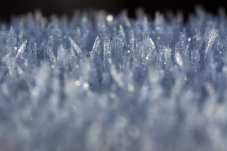 Prognoza agrometeorologica pentru perioada 29 ianuarie - 4 februarie 2021
