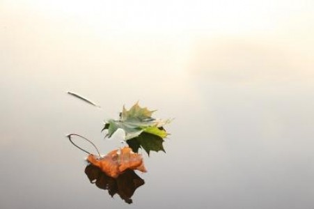 Prognoza agrometeorologica pentru perioada 30 septembrie - 6 octombrie 2020