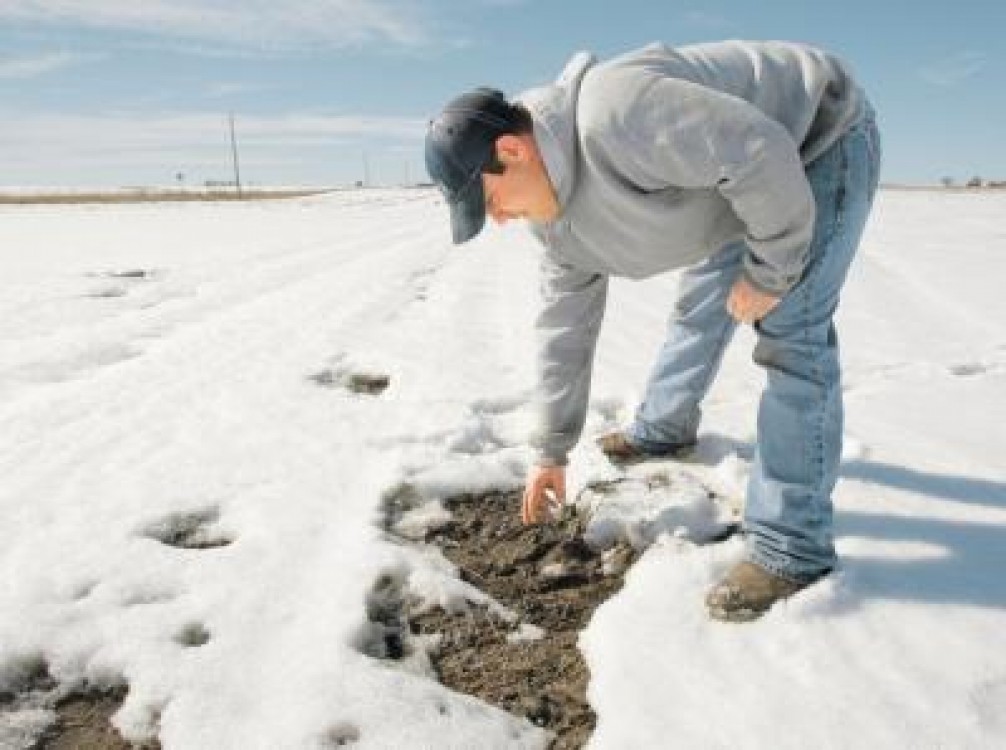 Prognoza agrometeorologica pentru perioada 12-18 ianuarie 2012