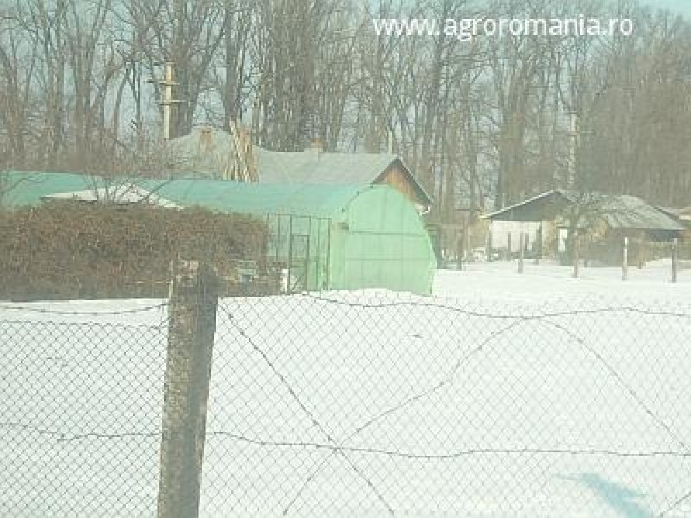 Prognoza agrometeorologica pentru perioada 19 - 25 ianuarie 2013