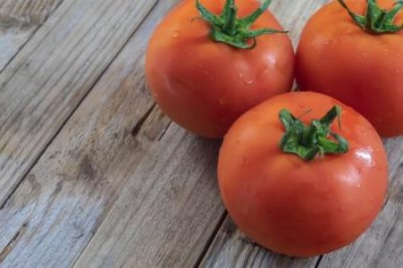 Programul Tomata se transforma in Legume in Spatii Protejate