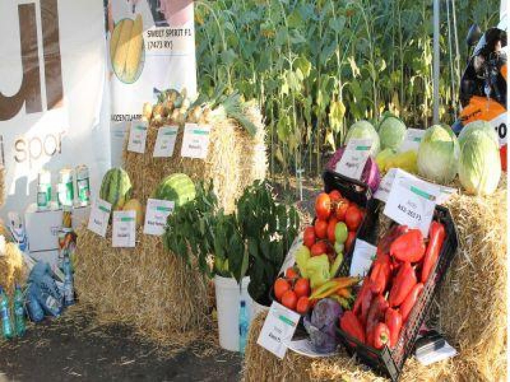 Comisia Europeana aloca 111 milioane de euro pentru promovarea productiei agricole