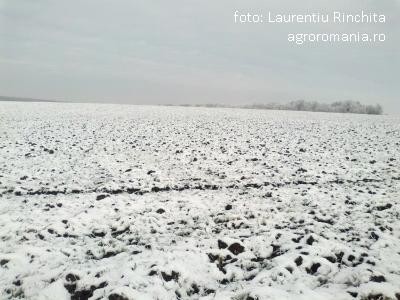 Scoaterea solurilor din circuitul agricol ingrijoreaza autoritatile europene