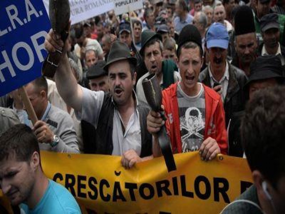 Crescatorii de animale ameninta cu proteste in strada