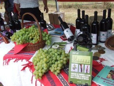 Romania si Moldova au semnat un plan comun de actiune in domeniul agricol