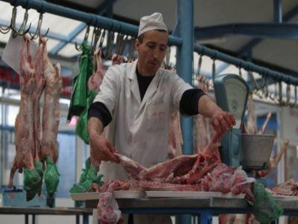 ANSVSA a avizat 45 de puncte temporare pentru sacrificarea mieilor